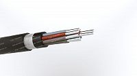 Кабель АКПВГ 10х10