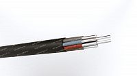 Кабель АКВВГнг 10х10