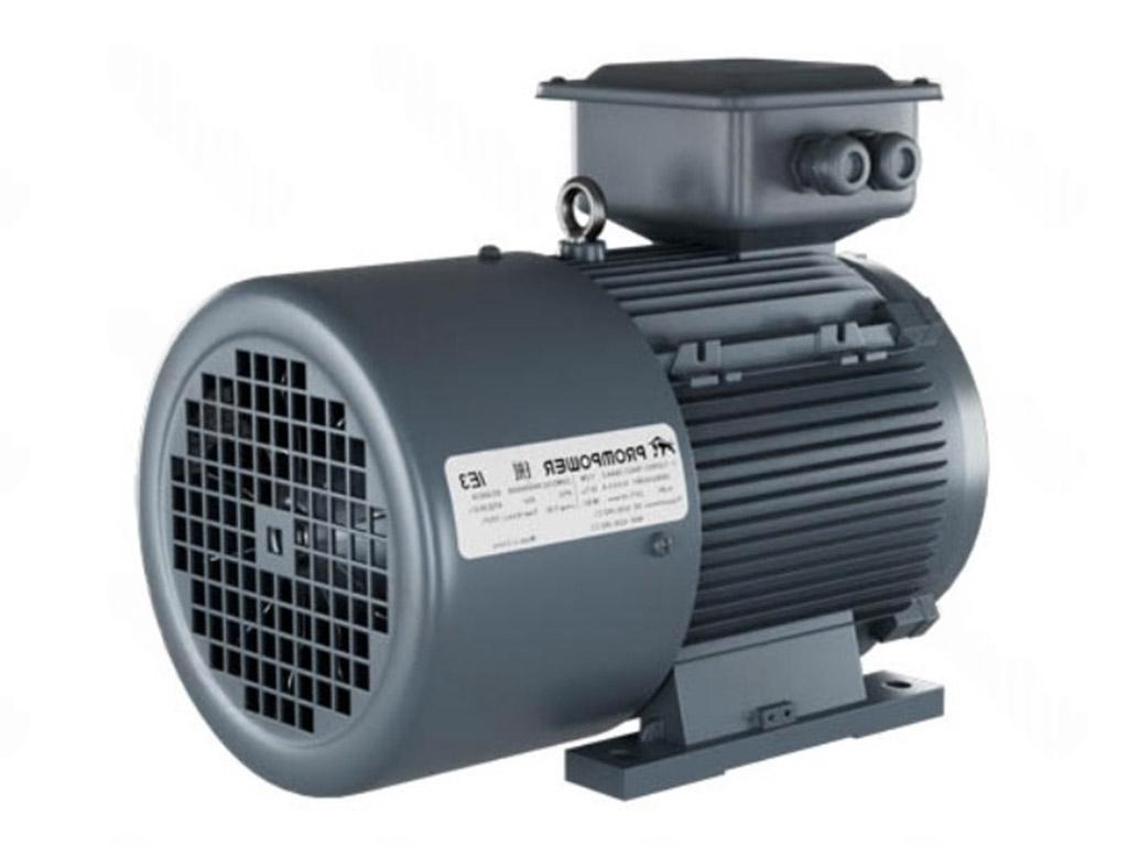 Электродвигатель 1LE9003-2BC23-3AA4 PROMPOWER